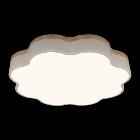 Потолочный светодиодный светильник Loft IT Axel 10225/36 White