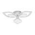 Потолочная светодиодная люстра Escada Anise 10288/6LED