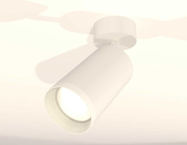 Комплект накладного светильника Ambrella light Techno Spot XM6322010 SWH/FR белый песок/белый матовый (A2202, C6322, N6246)