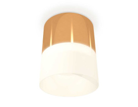 Комплект накладного светильника Ambrella light Techno Spot XS (C8121, N8402) XS8121011