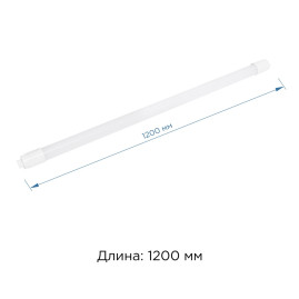 Лампа светодиодная Apeyron T8 20W 4000K матовая 13-04
