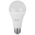 Лампа светодиодная ЭРА E27 25W 2700K матовая LED A65-25W-827-E27 R Б0048009
