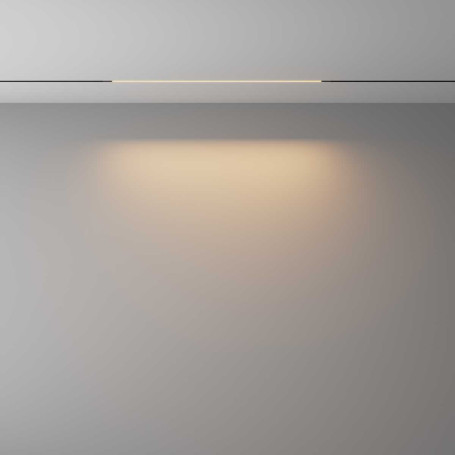 Трековый светильник Maytoni Technical EXILITY X Basis TR240-2-12W3K-B