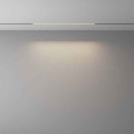 Трековый светильник Maytoni Technical EXILITY X Basis TR240-2-12W4K-B