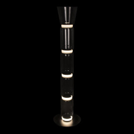 Торшер светодиодный Loft IT Noctambule 10193F/L