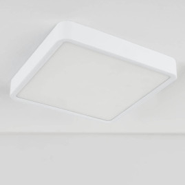 Потолочный светодиодный светильник Elektrostandard DLS034 18W 4200K a043017