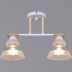 Потолочная люстра Reluce 01630-0.3-02 WH+WOOD