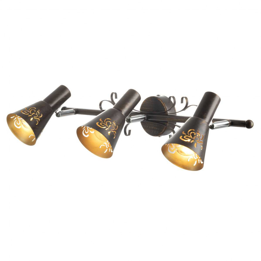 Спот Citilux Дункан CL529531