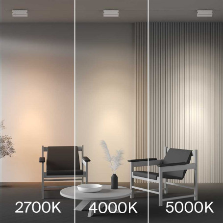 Трековый светильник Maytoni Technical TR223-1-12WCCT-W-W