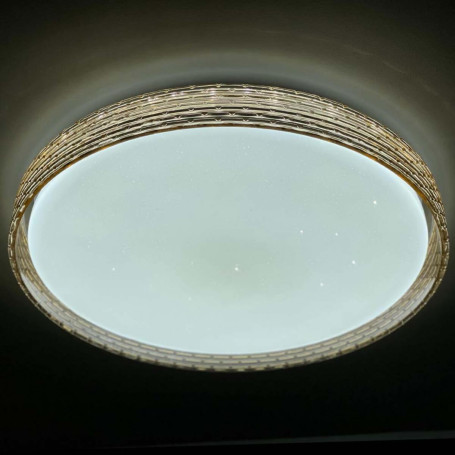 Потолочный светодиодный светильник Profit Light 2095/450 WH+GD