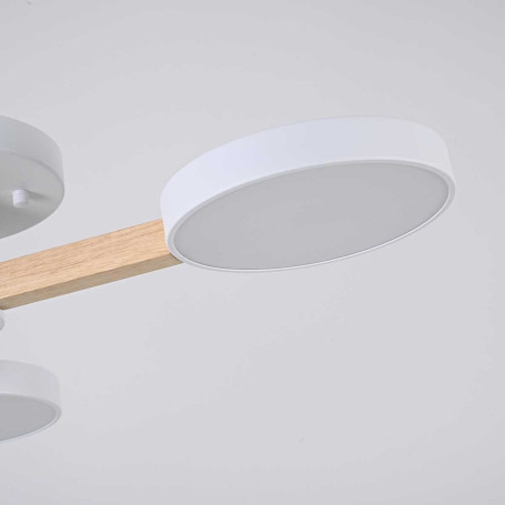 Потолочная люстра Imperium Loft Turna 102157-26