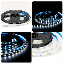 Светодиодная лента OGM 4,8W/m 60LED/m 2835SMD холодный белый 5M LSE-248