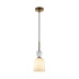 Подвесной светильник Odeon Light Lolla Midcent 4359/1B