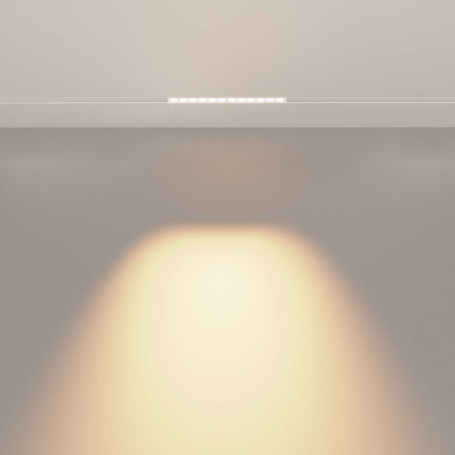 Трековый светильник Voltega Эксилайт / Exilight VGL031-2-12W3K-W