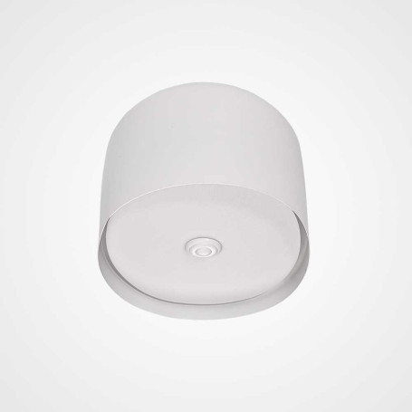 Потолочный светильник Imperium Loft Cylinder 101495-26