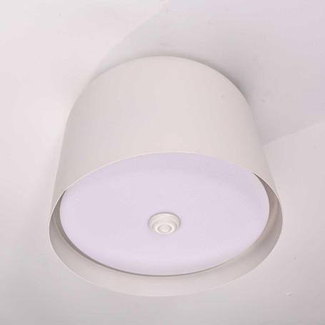 Потолочный светильник Imperium Loft Cylinder 101495-26