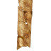 Настенный светильник Favourite Leaftube 4802-1W