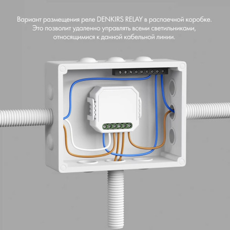Двухканальное Wi-Fi реле-выключатель Denkirs 2x1150Вт/2x150Вт для LED RL1002-SM/1