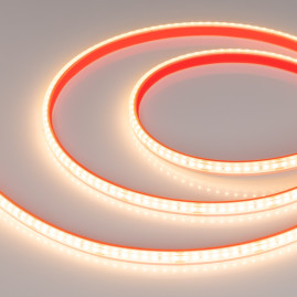 Светодиодная лента герметичная Arlight DOT-PFS-X160-10mm 24V Warm2700 (12 W/m, IP68, 5m) 051595