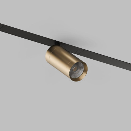 Трековый светодиодный светильник Denkirs Smart Spot DK8010-BG
