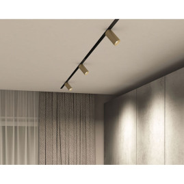 Трековый светодиодный светильник Denkirs Smart Spot DK8010-BG
