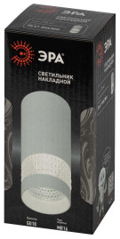 Настенно-потолочный светильник ЭРА OL41 WH/WH Б0058486