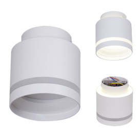 Потолочный светильник Reluce 53001-9.5-001IL GX53+LED3W WT