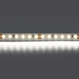 Светодиодная лента Lightstar 12W/m 120LED/m холодный белый 5M 420805