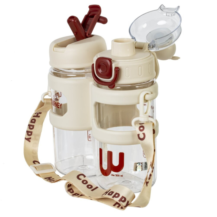 Набор из 2-х бутылок, 500 мл, L14,5 W6,5 H22 см