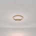 Потолочный светодиодный светильник Maytoni Rim MOD058CL-L25BSK
