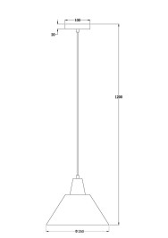 Подвесной светильник Freya Акцент / Accent FR5276PL-01N1