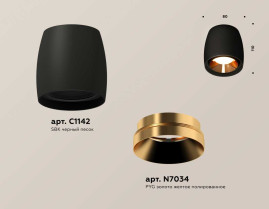 Комплект накладного светильника Ambrella light Techno Spot XS1142004 SBK/PYG черный песок/золото желтое полированное (C1142, N7034)