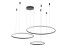 Подвесной светильник Zortes RINGOLIGHT ZRS.33320.120F