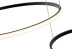 Подвесной светильник Zortes RINGOLIGHT ZRS.33320.120F