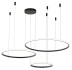 Подвесной светильник Zortes RINGOLIGHT ZRS.33320.120F