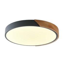 Потолочный светильник Zortes Alberro ZRS.01280.90