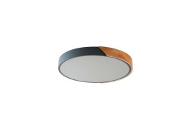 Потолочный светильник Zortes Alberro ZRS.01280.90