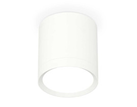 Комплект накладного светильника Ambrella light Techno Spot XS (C8141, N8112) XS8141001