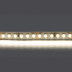 Светодиодная лента Lightstar 16W/m 168LED/m дневной белый 5M 420824