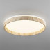 Потолочный светодиодный светильник Citilux Enzo CL753452G