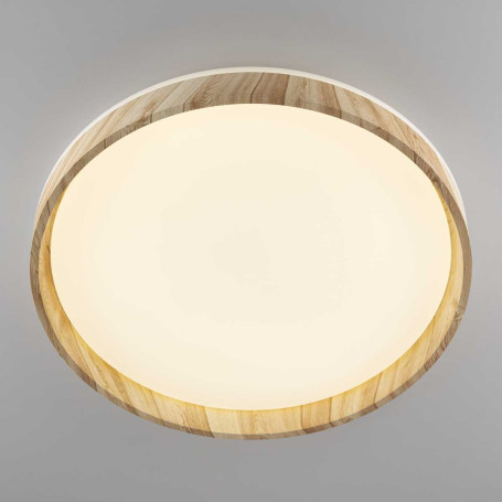Потолочный светодиодный светильник Citilux Enzo CL753452G