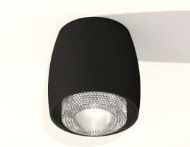 Комплект накладного светильника Ambrella light Techno Spot XS1142020 SBK/CL черный песок/прозрачный (C1142, N7191)