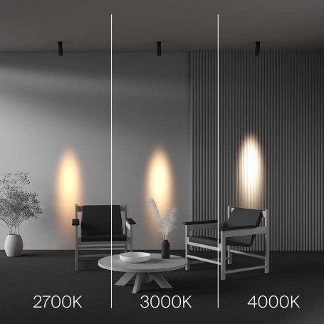 Потолочный светильник Maytoni Technical C055CL-L12W2.7K-SS-B