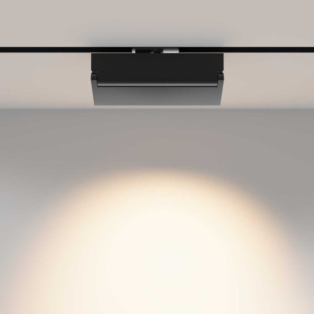 Трековый светильник Maytoni Technical TR224-1-12WCCT-M-B