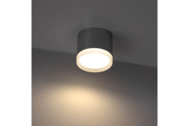 Накладной потолочный светильник Ritter Arton 59948 7