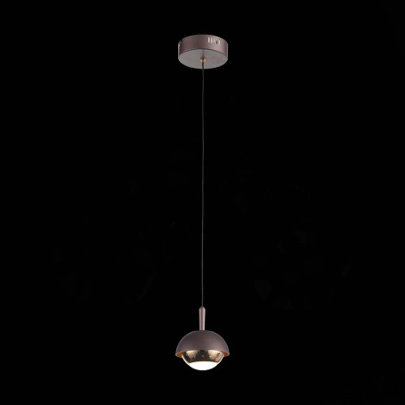 Подвесной светодиодный светильник ST Luce Entolla SL1602.323.01