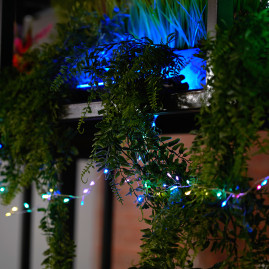 Светодиодная гирлянда Кластер (на проволоке) Feron CL584 линейная 12м  мультиколор, c питанием от сети 230V, прозрачный шнур 51449