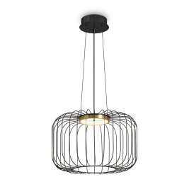 Подвесной светодиодный светильник Freya Citrus FR5398PL-L8B