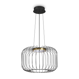 Подвесной светодиодный светильник Freya Citrus FR5398PL-L8B