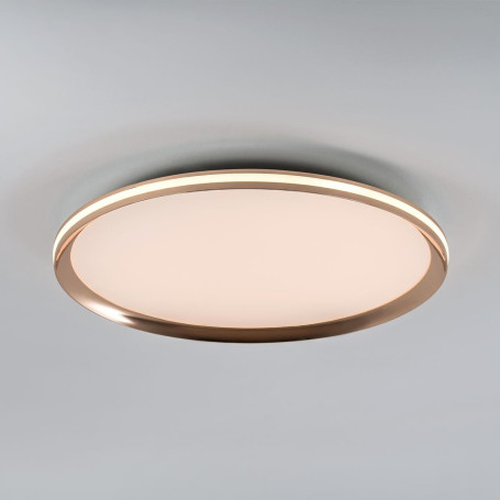 Потолочный cветильник LED4U L3020-500 GD